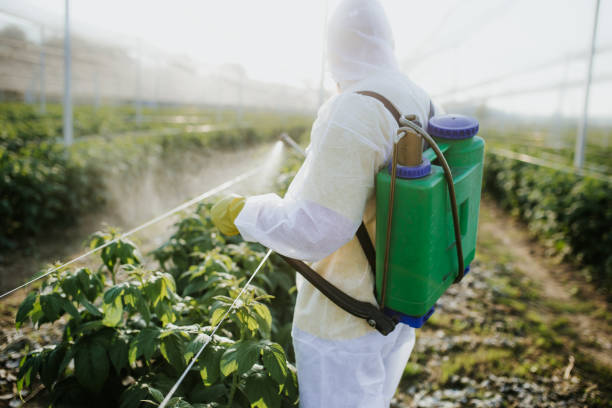 Best Termite Control Services  in Imperial, PA